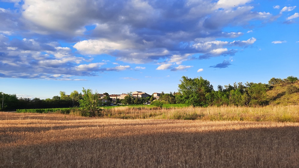 Quelles sont les spécificités de la construction sur terrain agricole ?