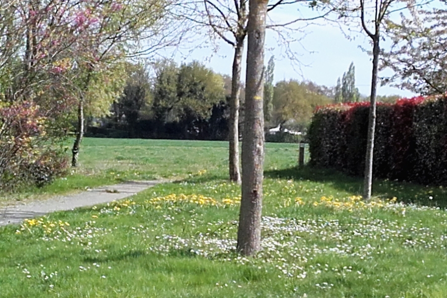 Le Bois de la Touche - Photo 