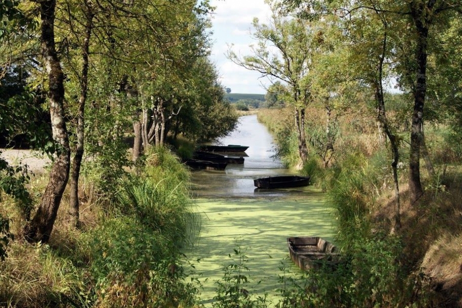 Le Clos du Paty - Photo 