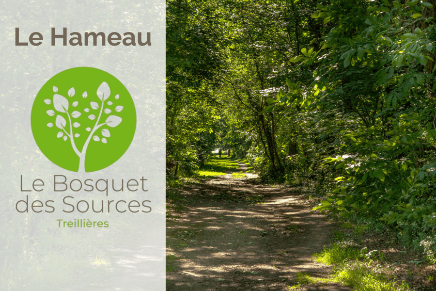 MAISON CENTRE VILLE Le Hameau du Bosquet des Sources - Photo 0
