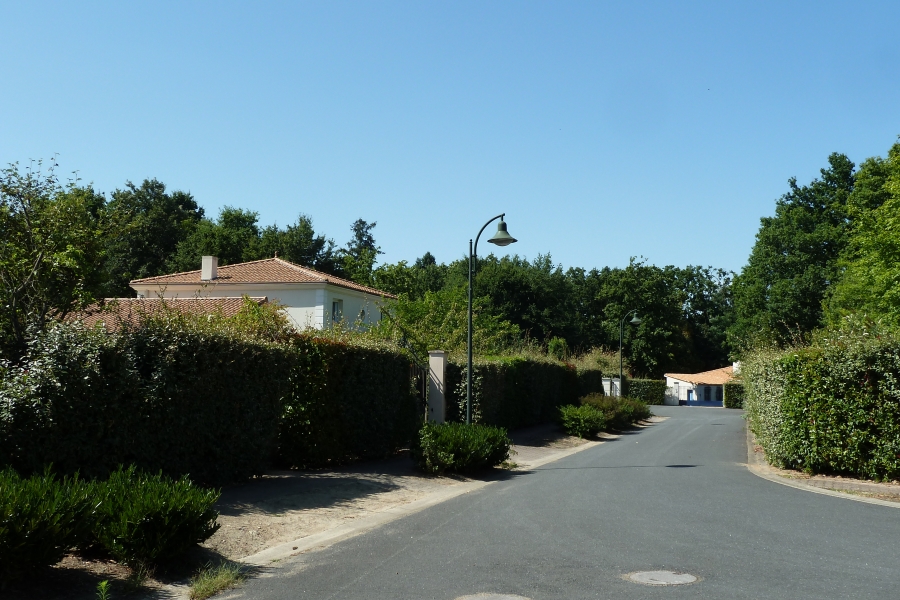 BASSE GOULAINE Le Bois Bredy - Photo 0