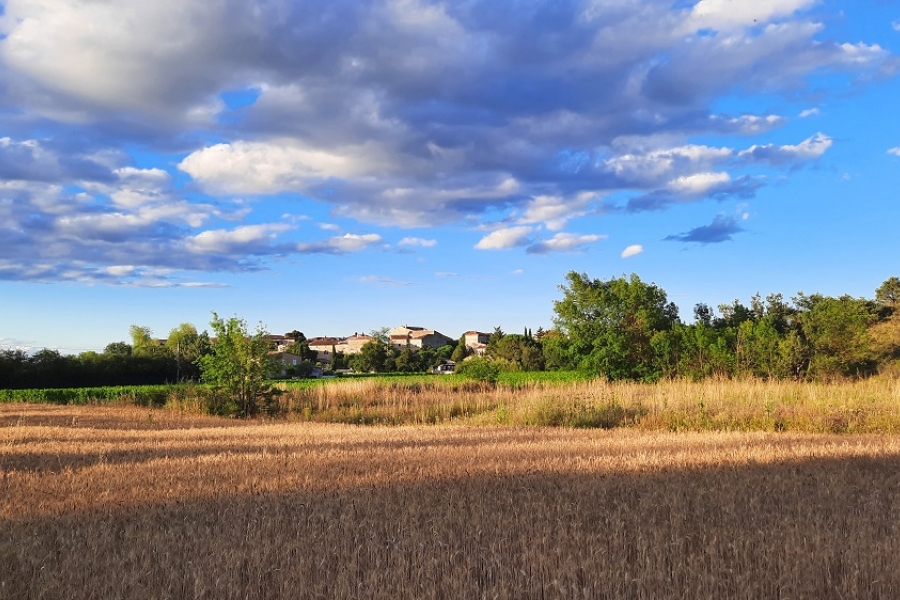 Quelles sont les spécificités de la construction sur terrain agricole ?