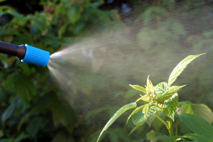 Image Peut-on utiliser des produits phytosanitaires dans son jardin ?