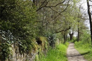 Coteau de la Margerie - Photo 2