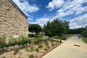 Le Clos de la Bérangerie - SAINT MARS DU DESERT - Photo 3