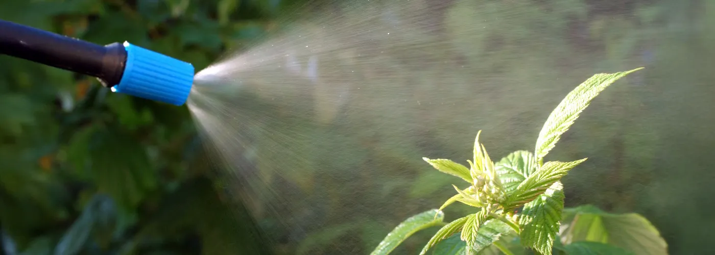 Peut-on utiliser des produits phytosanitaires dans son jardin ?