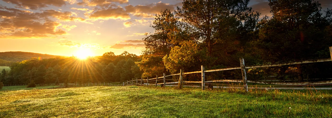 Tout savoir sur les limites séparatives des terrains