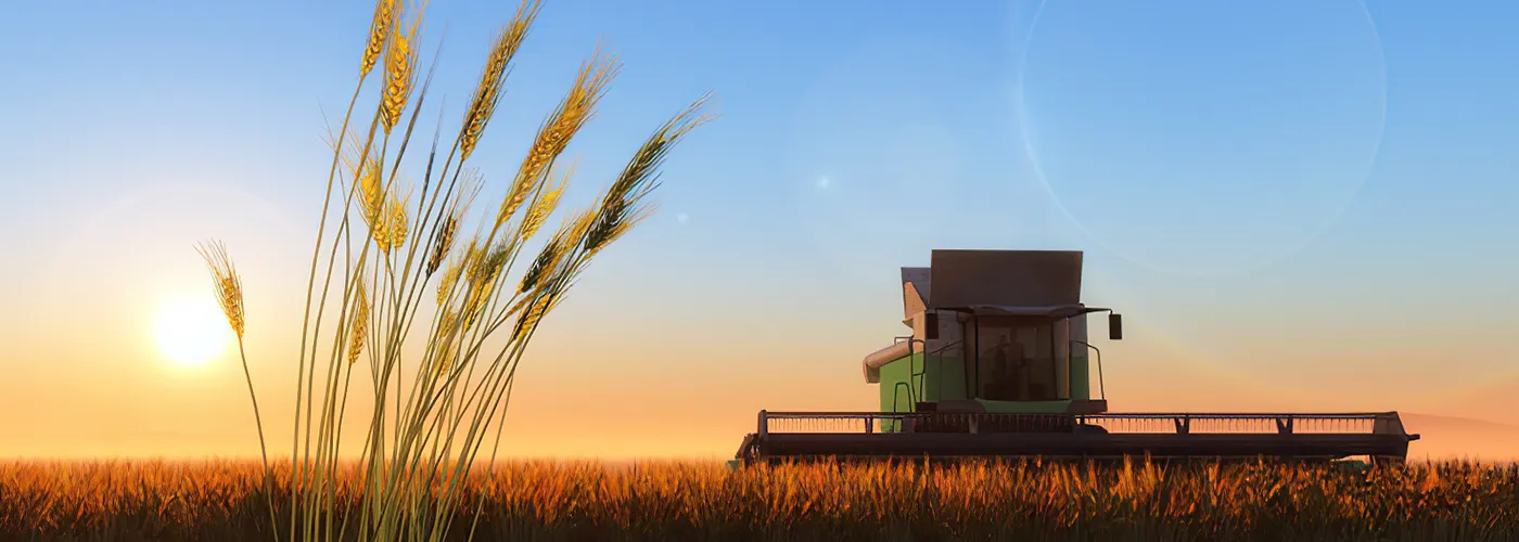 Terrain agricole : est-ce qu’on peut construire dessus ?
