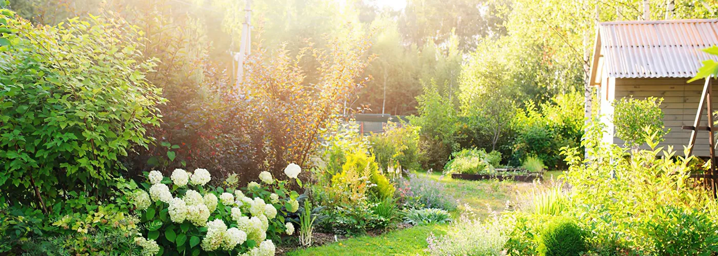 Comment créer un jardin facilement chez soi : les 5 points clés pour bien démarrer