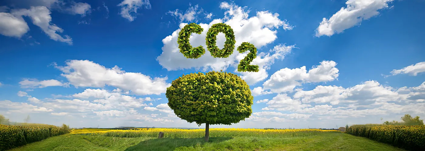 Réduire ses émissions de CO₂ : le défi de l’industrie du bâtiment