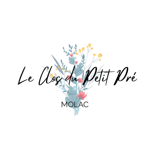 Perion Realisations Programmes Neufs Et Terrains A Batir Dans Le Grand Ouest MOLAC Le Clos Du Petit Pre LOGO